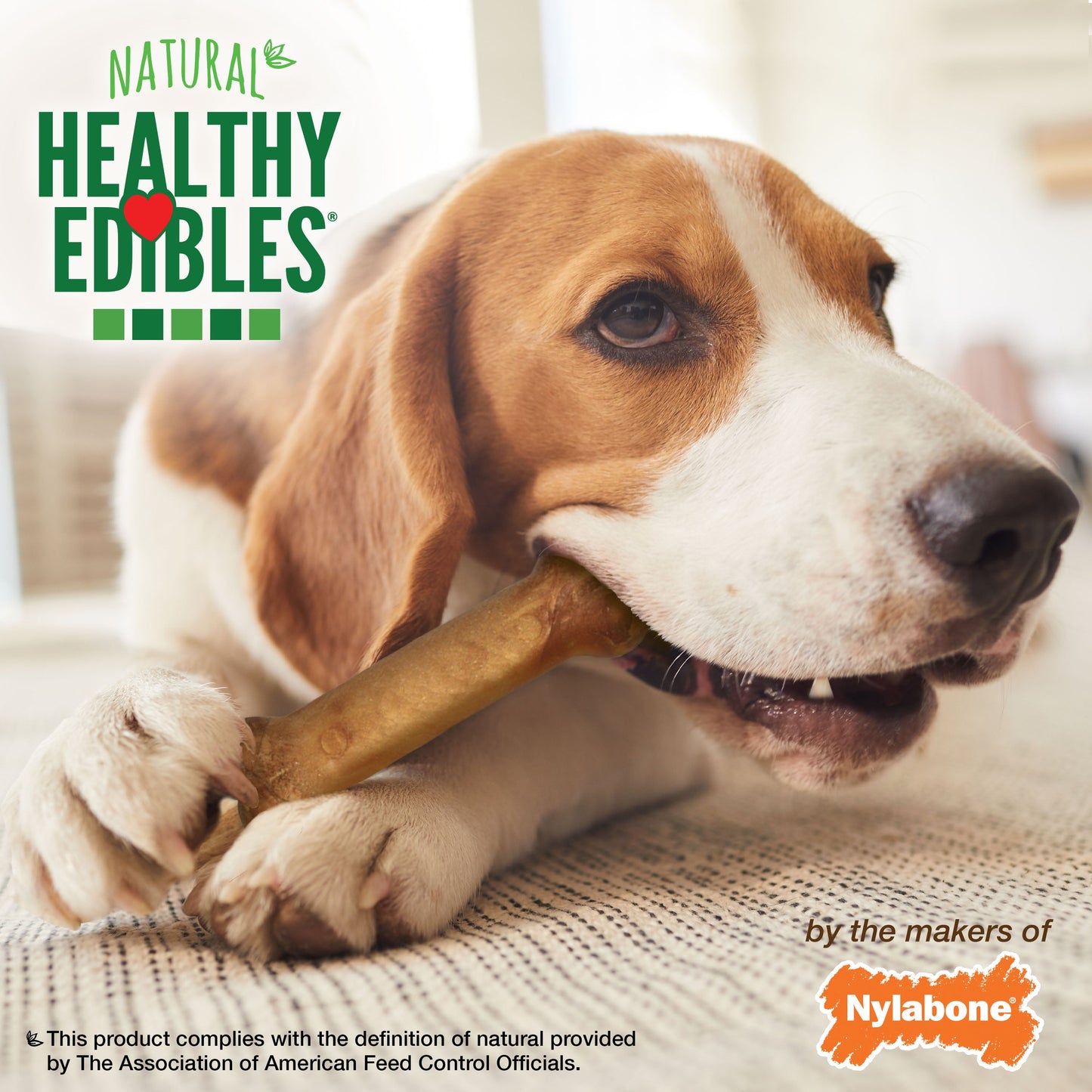 Nylabone Healthy Edibles AllNatural Long Lasting Bacon Chew Treats Bacon, Medium/Wolf Up To 35 Lbs. 2 ct