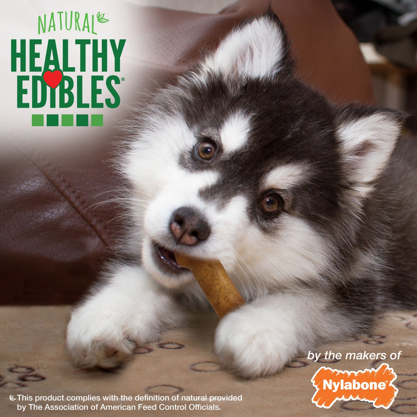 Nylabone Healthy Edibles Puppy AnimalShaped Lamb Apple Dog Chew Treats Lamb Apple, XS/Petite Up To 15 Lbs. 4 ct