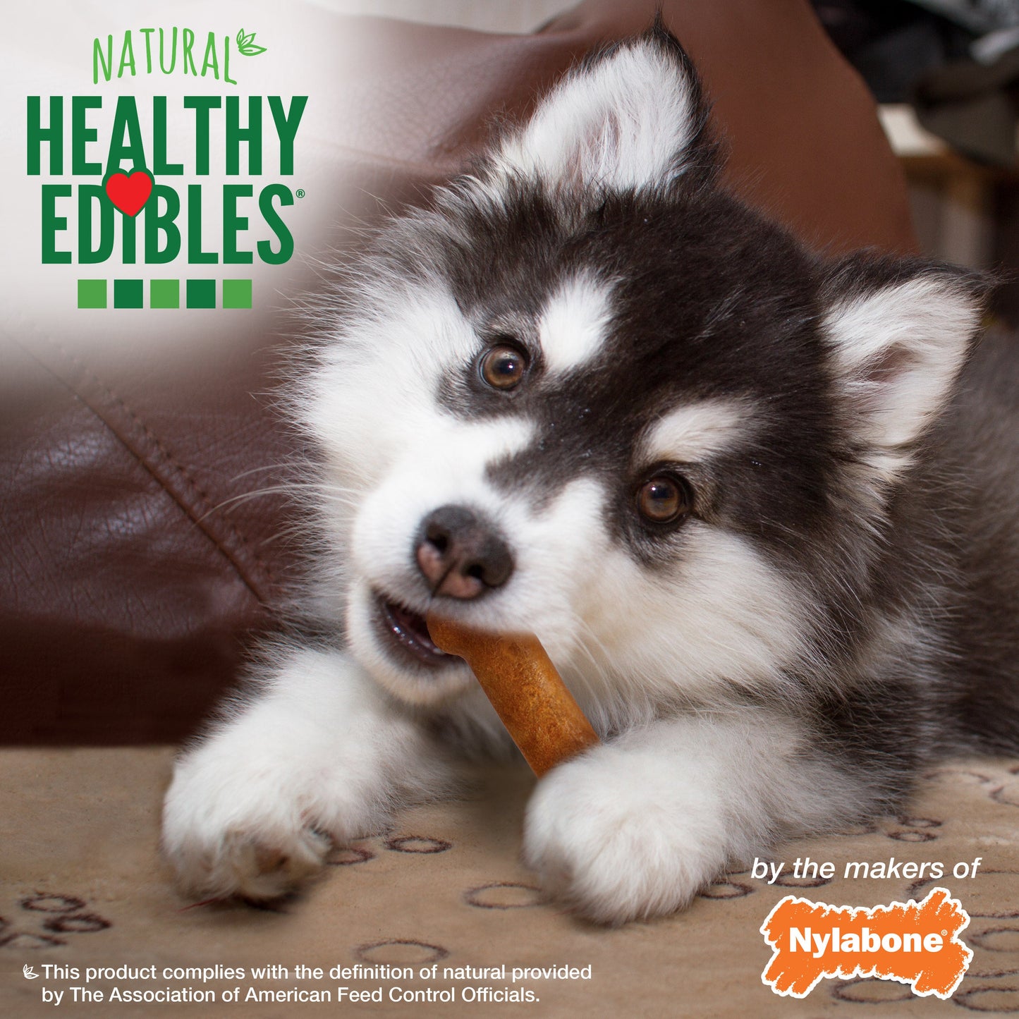 Nylabone Healthy Edibles Puppy Turkey Sweet Potato Dog Chew Treats Turkey Sweet Potato, XS/Petite Up To 15 Lbs. 8 ct