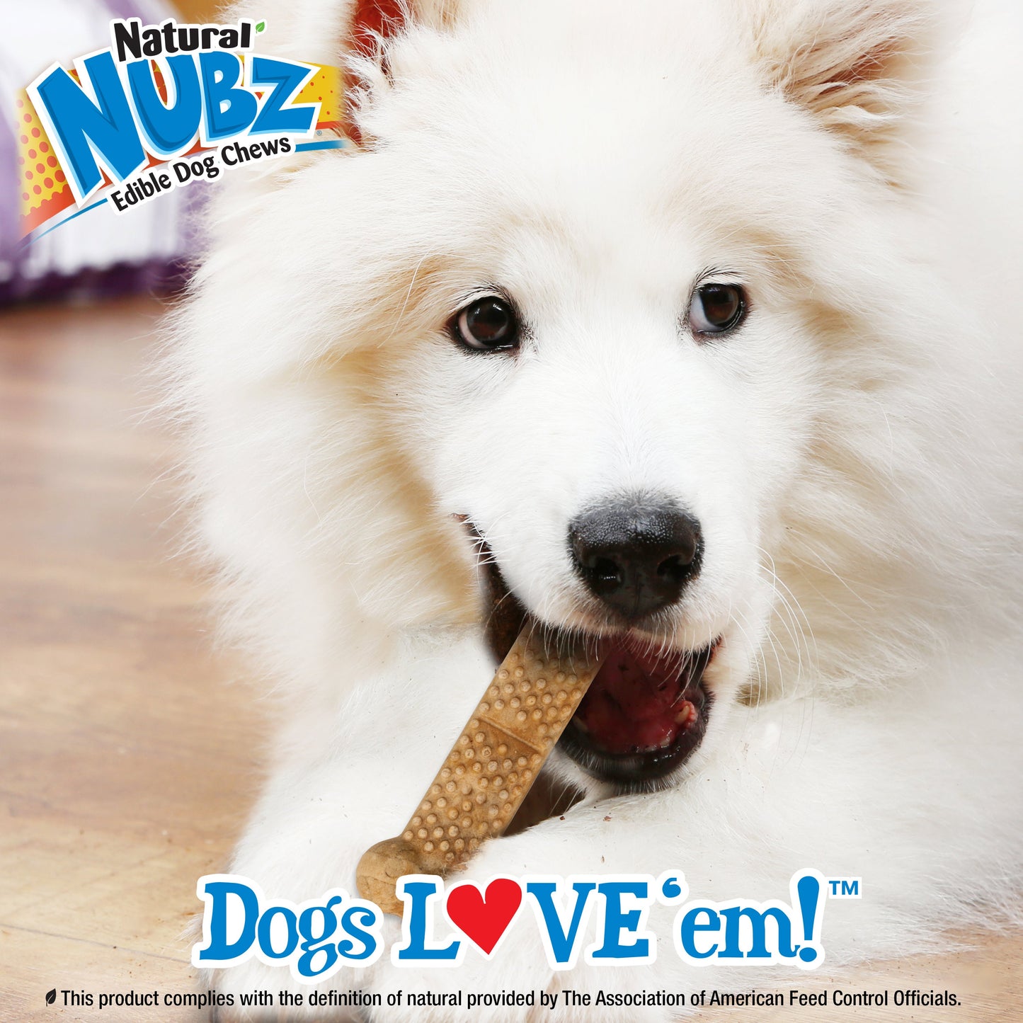 Nylabone Natural Nubz Chicken Dog Treats Chicken, Large 30 Lbs. 12 ct