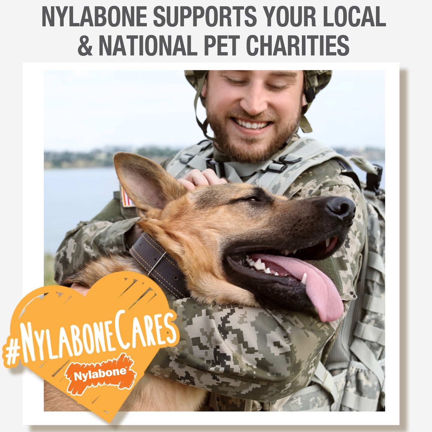 Nylabone Natural Nubz Chicken Dog Treats Chicken, Large 30 Lbs. 12 ct