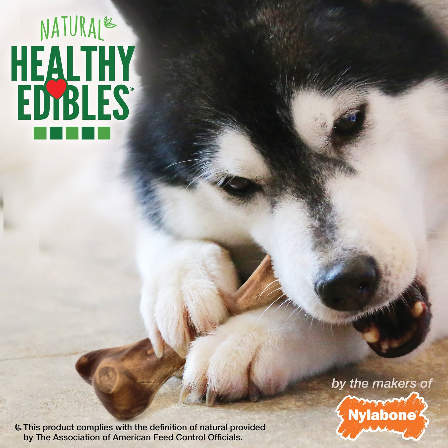 Nylabone Healthy Edibles WILD Natural Long Lasting Venison Dog Chew Treats Venison, Large/Giant Up To 50 Lbs. 1 ct