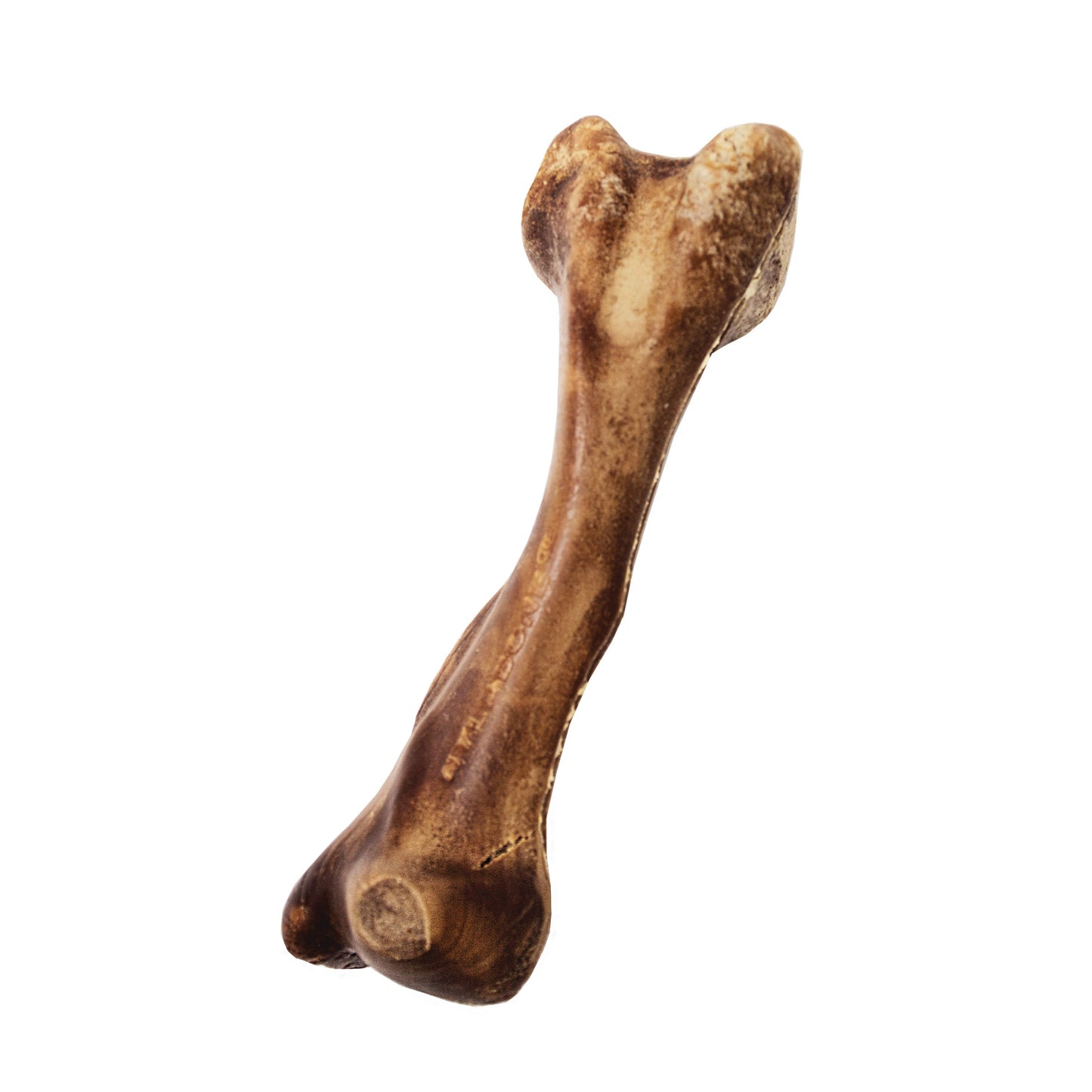 Nylabone Healthy Edibles WILD Natural Long Lasting Venison Dog Chew Treats Venison, Large/Giant Up To 50 Lbs. 1 ct