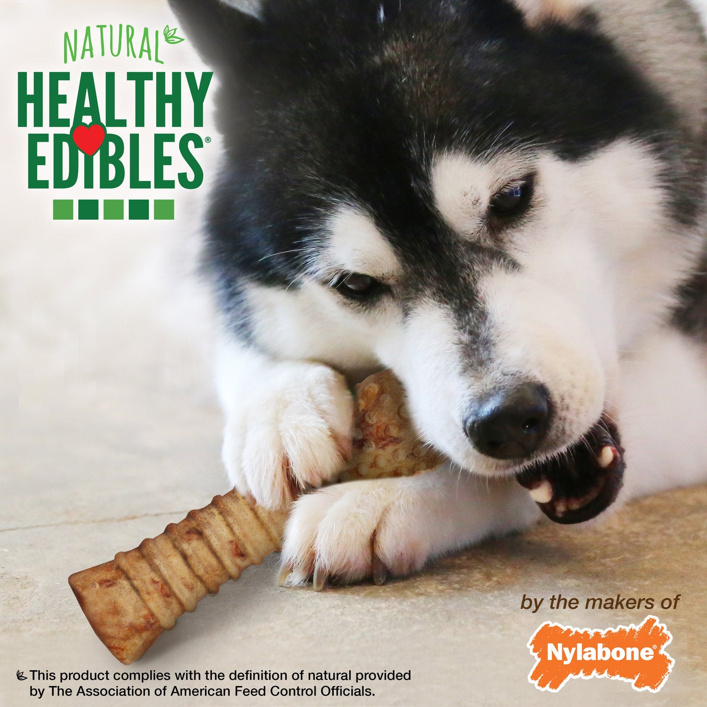 Nylabone Healthy Edibles AllNatural Long Lasting Turkey Apple Dog Chew Treats Turkey Apple, XL/Souper 50 Lbs. 1 ct