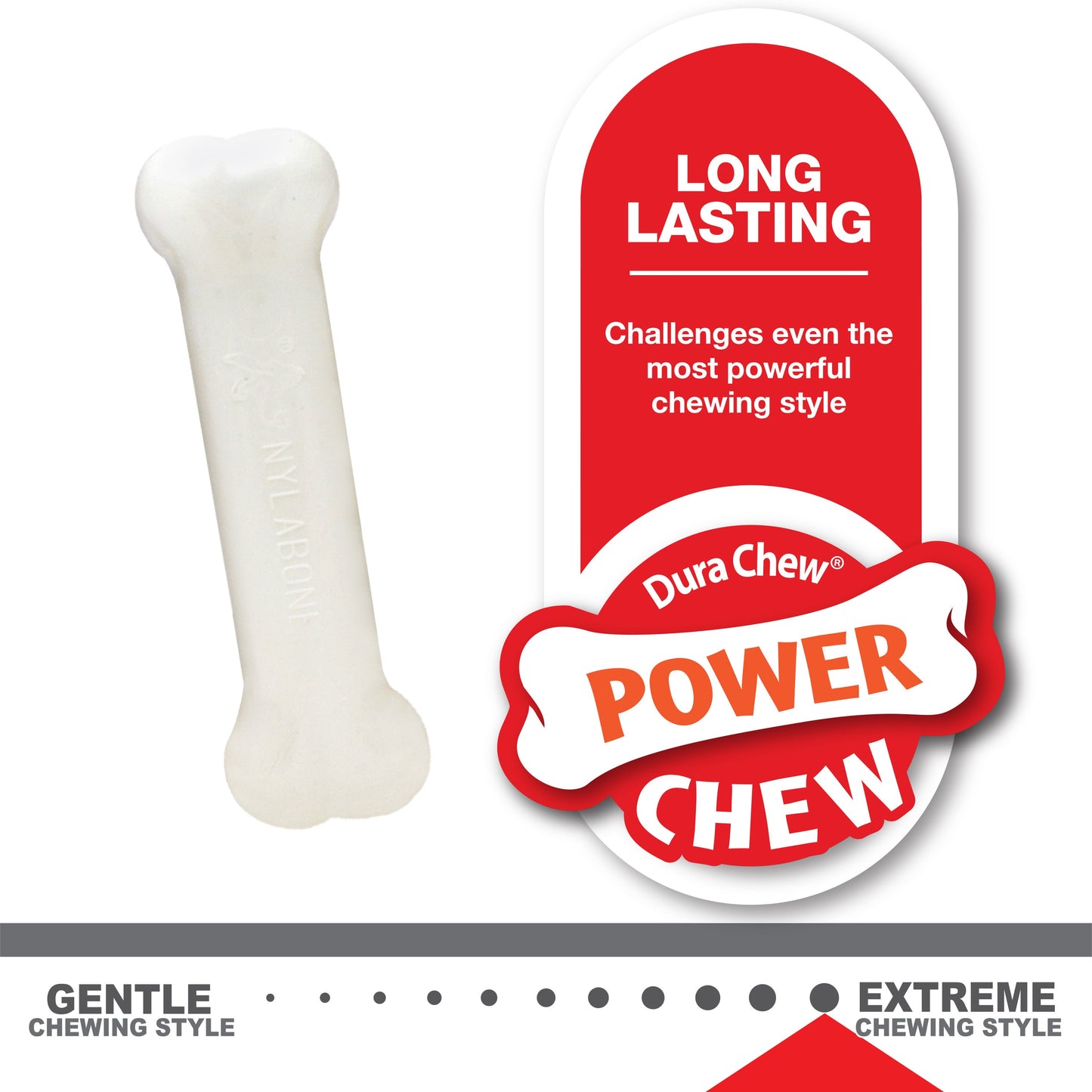 Nylabone Puppy Chew Variety Toy Treat Triple Pack Chicken Lamb Starter Kit, SMall/Regular Up To 25 Ibs.