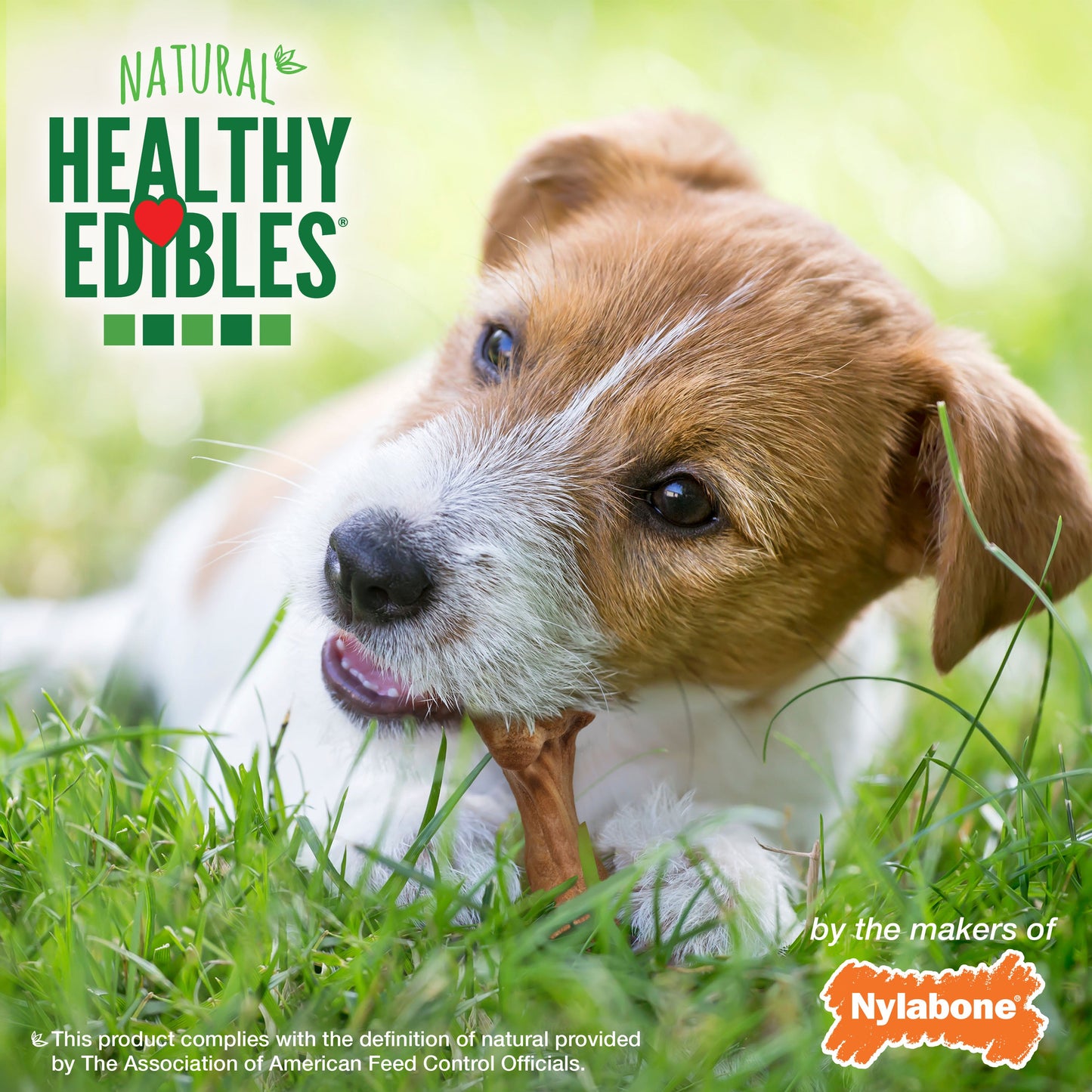 Nylabone Healthy Edibles WILD Natural Long Lasting Bison Dog Chew Treats Bison, SMall/Regular Up To 25 Ibs. 16 ct