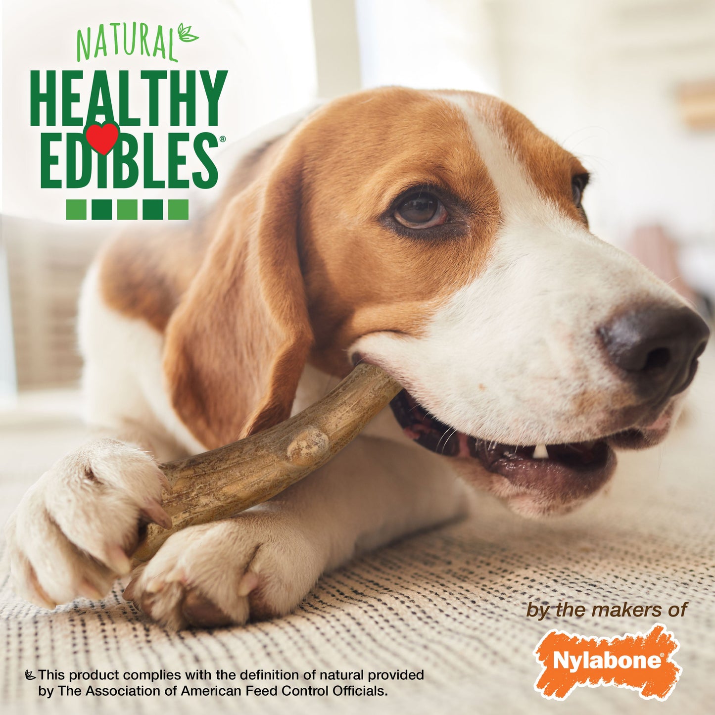 Nylabone Healthy Edibles WILD Antler Natural Long Lasting Dog Chew Treats Venison, Large/Giant Up To 50 Lbs. 10 ct