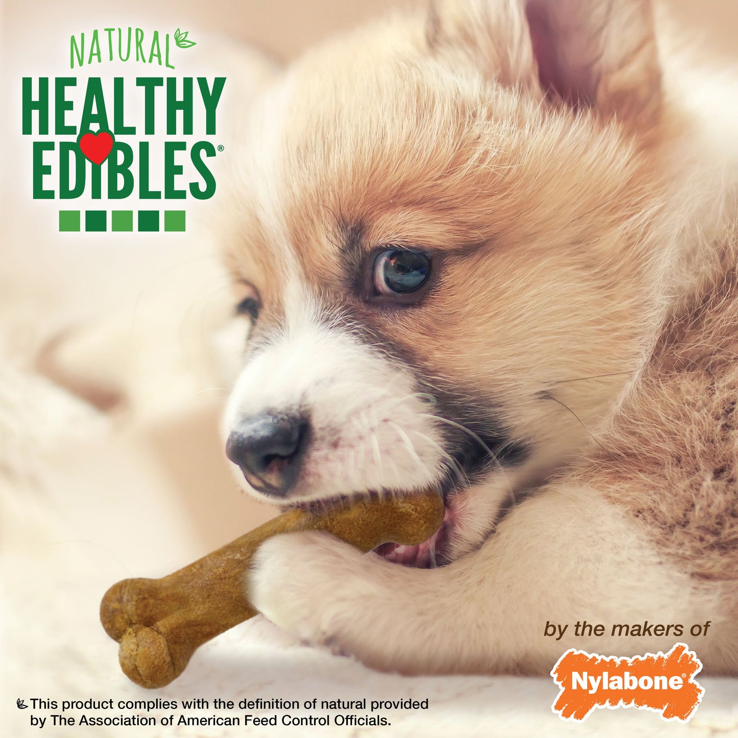 Nylabone Healthy Edibles Puppy Natural Long Lasting Variety Dog Chew Treats Roast Beef, Turkey, Apple, Bacon, XS/Petite Up To 15 Lbs. 3 ct