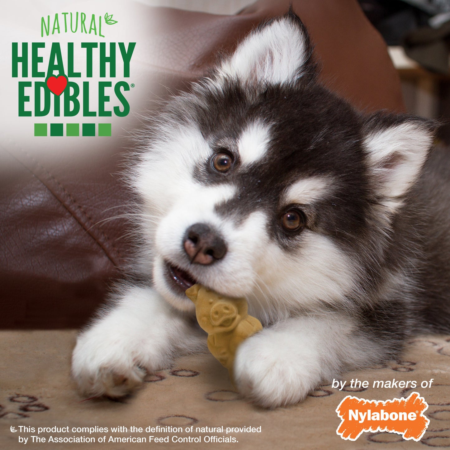 Nylabone Healthy Edibles Puppy AnimalShaped Lamb Apple Dog Chew Treats Lamb Apple, SMall/Regular Up To 25 Ibs. 4 ct