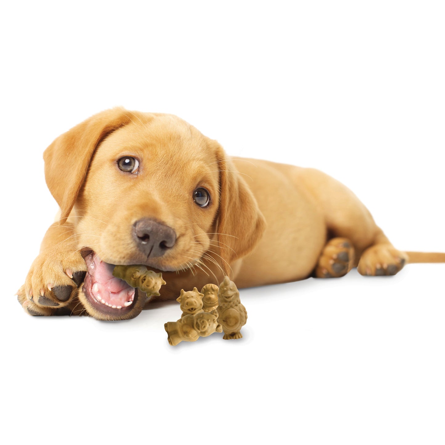 Nylabone Healthy Edibles Puppy AnimalShaped Lamb Apple Dog Chew Treats Lamb Apple, SMall/Regular Up To 25 Ibs. 4 ct