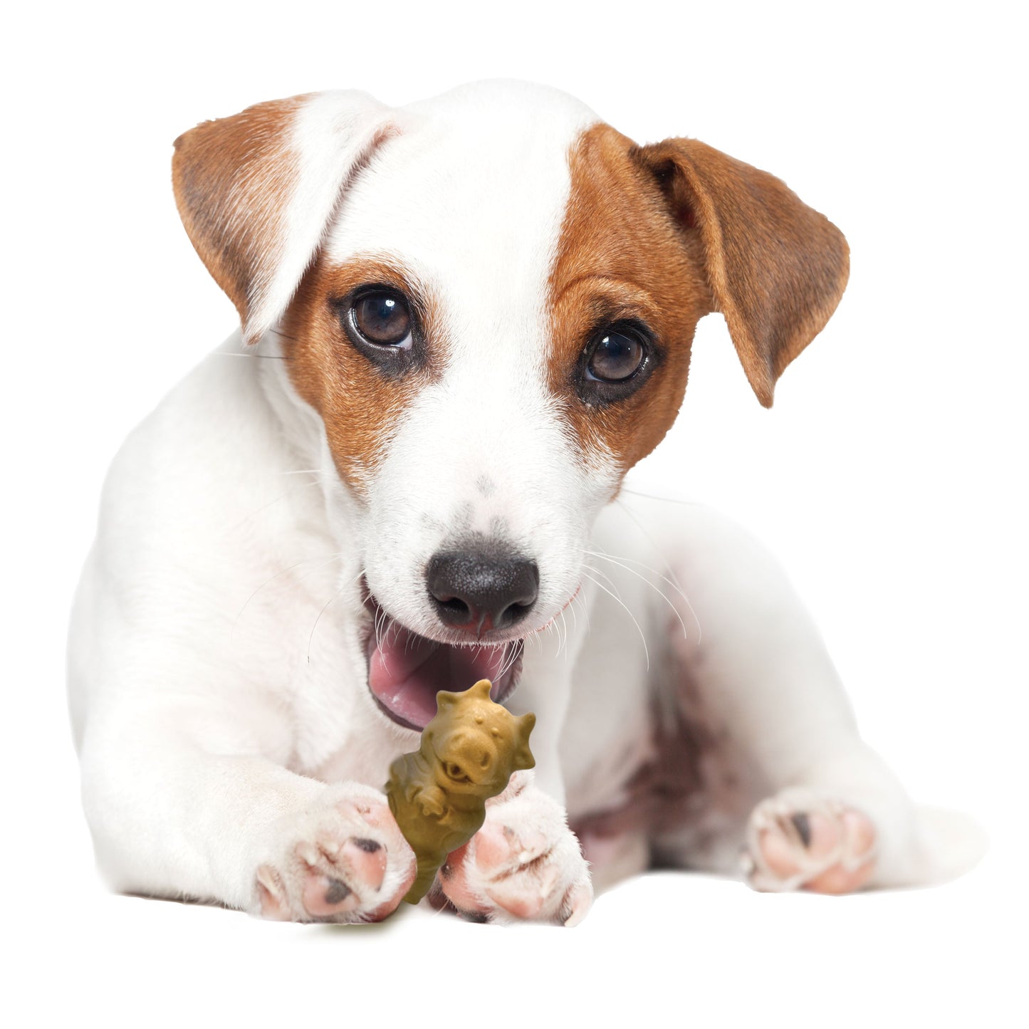 Nylabone Healthy Edibles Puppy AnimalShaped Lamb Apple Dog Chew Treats Lamb Apple, SMall/Regular Up To 25 Ibs. 4 ct