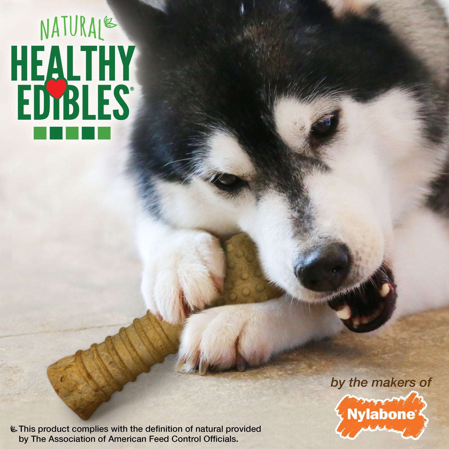 Nylabone Healthy Edibles AllNatural Long Lasting Peanut Butter Dog Chew Treats 1 Count, Peanut Butter, XL/Souper 50 Lbs. 1 ct