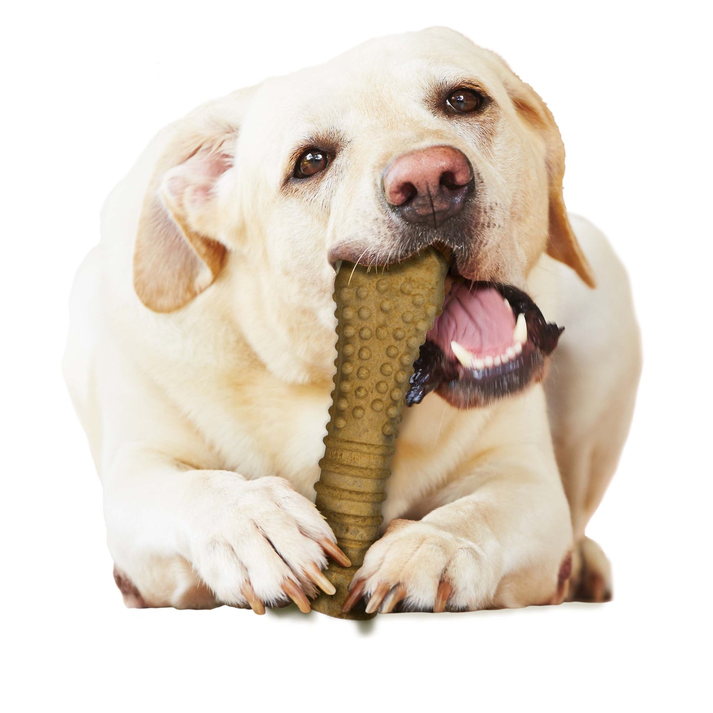 Nylabone Healthy Edibles AllNatural Long Lasting Peanut Butter Dog Chew Treats 1 Count, Peanut Butter, XL/Souper 50 Lbs. 1 ct