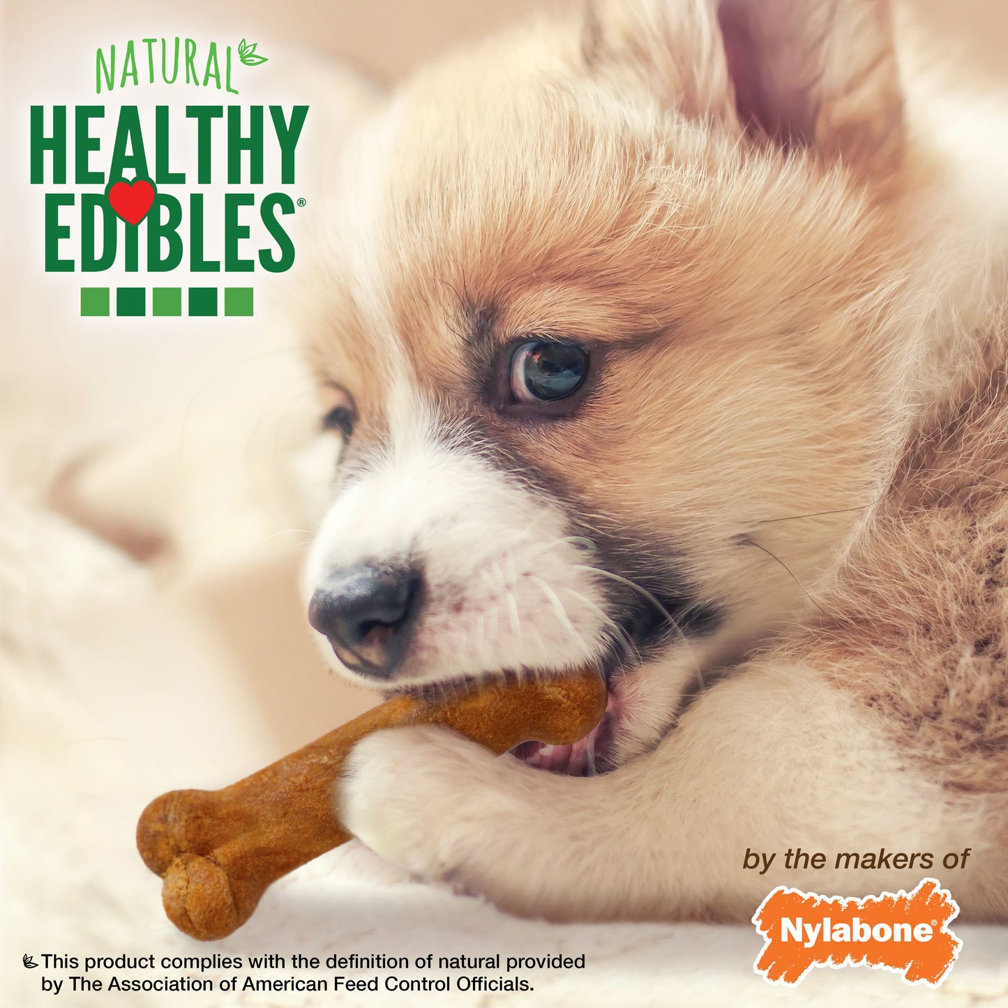 Nylabone Healthy Edibles Puppy Turkey Sweet Potato Dog Chew Treats Turkey Sweet Potato, XS/Petite Up To 15 Lbs. 16 ct