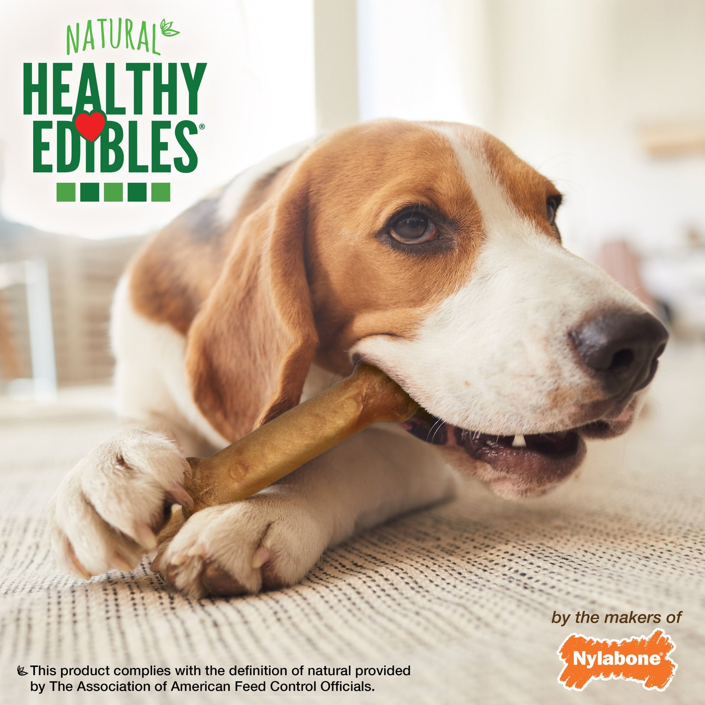 Nylabone Healthy Edibles AllNatural Long Lasting Bacon Chew Treats Bacon, Medium/Wolf Up To 35 Lbs. 7 ct