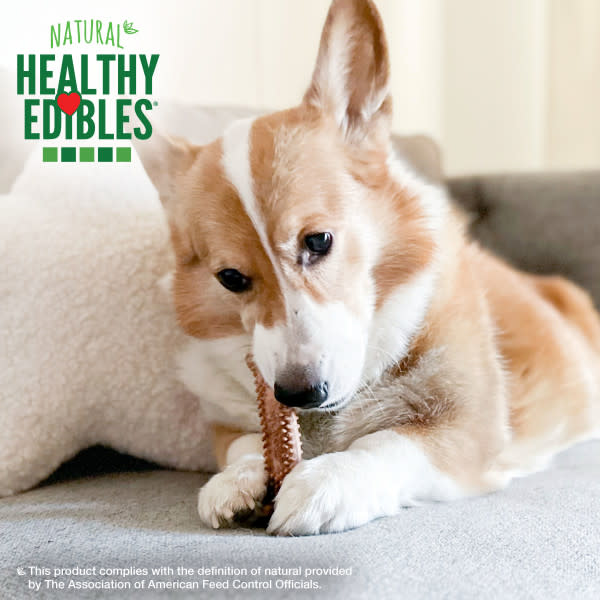 Nylabone Healthy Edibles Meaty Center Natural Dog Treats Beef, SMall Up To 30 Lbs. 12 ct