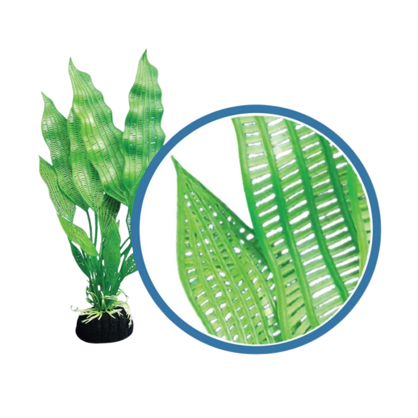 Weco Products Freshwater Pro Series Madagascar Lace Aquarium Plant Green, 1ea/6 in
