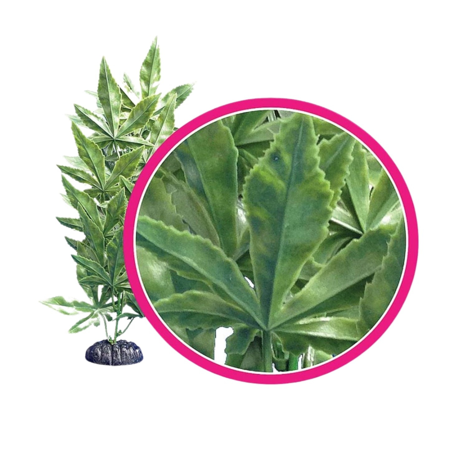 Weco Products Dream Series Hash Aquarium Plant Green, 1ea/12 in