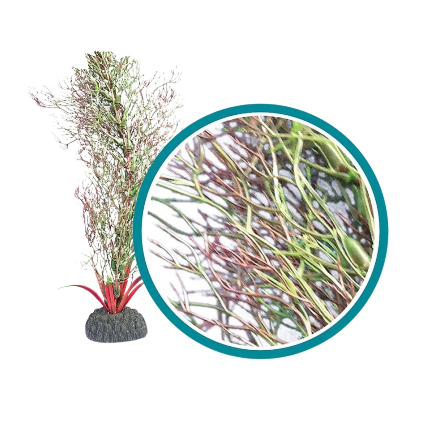 Weco Products Marine Pro Series Fine Branch Kelp Aquarium Plant Green, 1ea/24 in