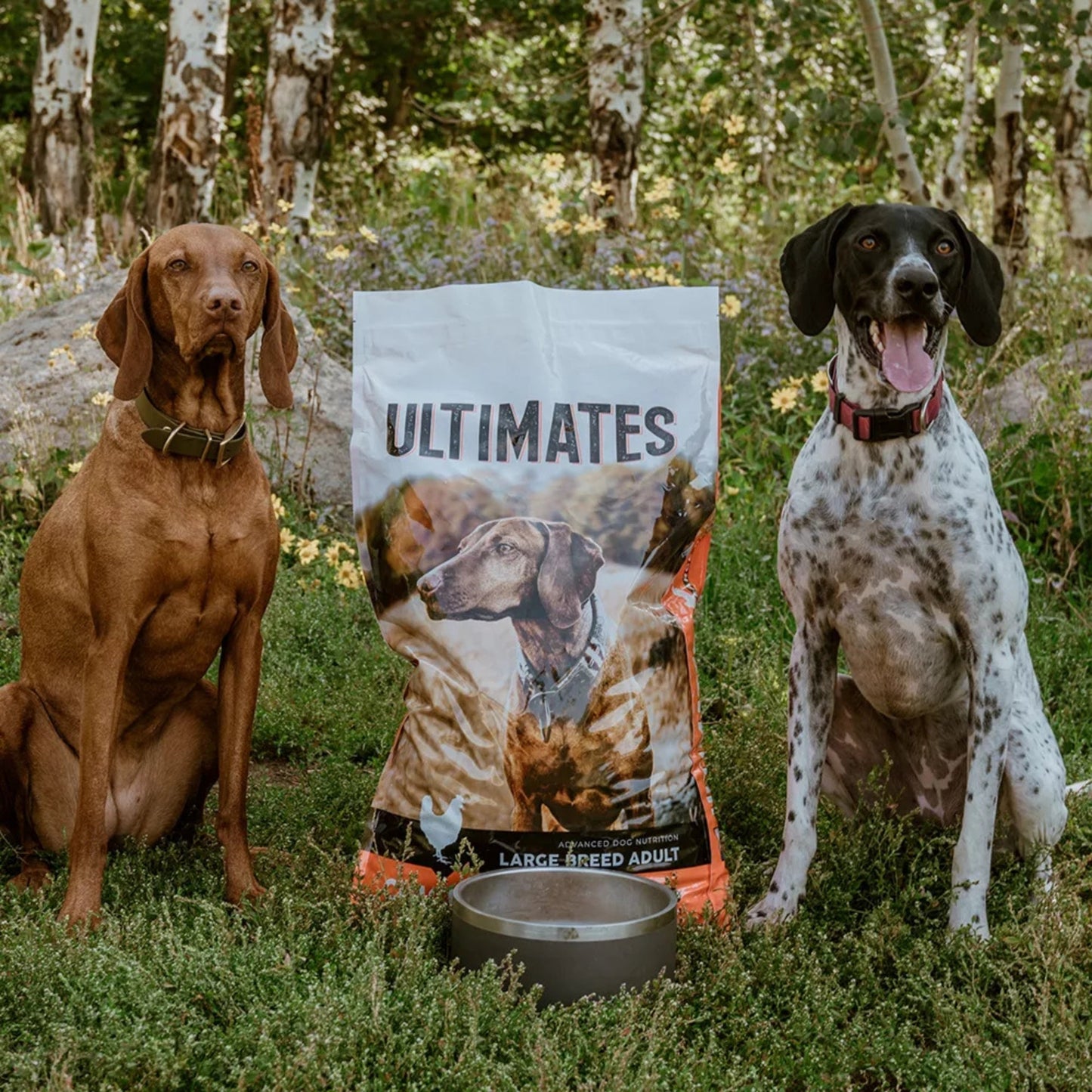 Ultimates Large Breed Dry Dog Food Chicken Meal & Rice 28lb