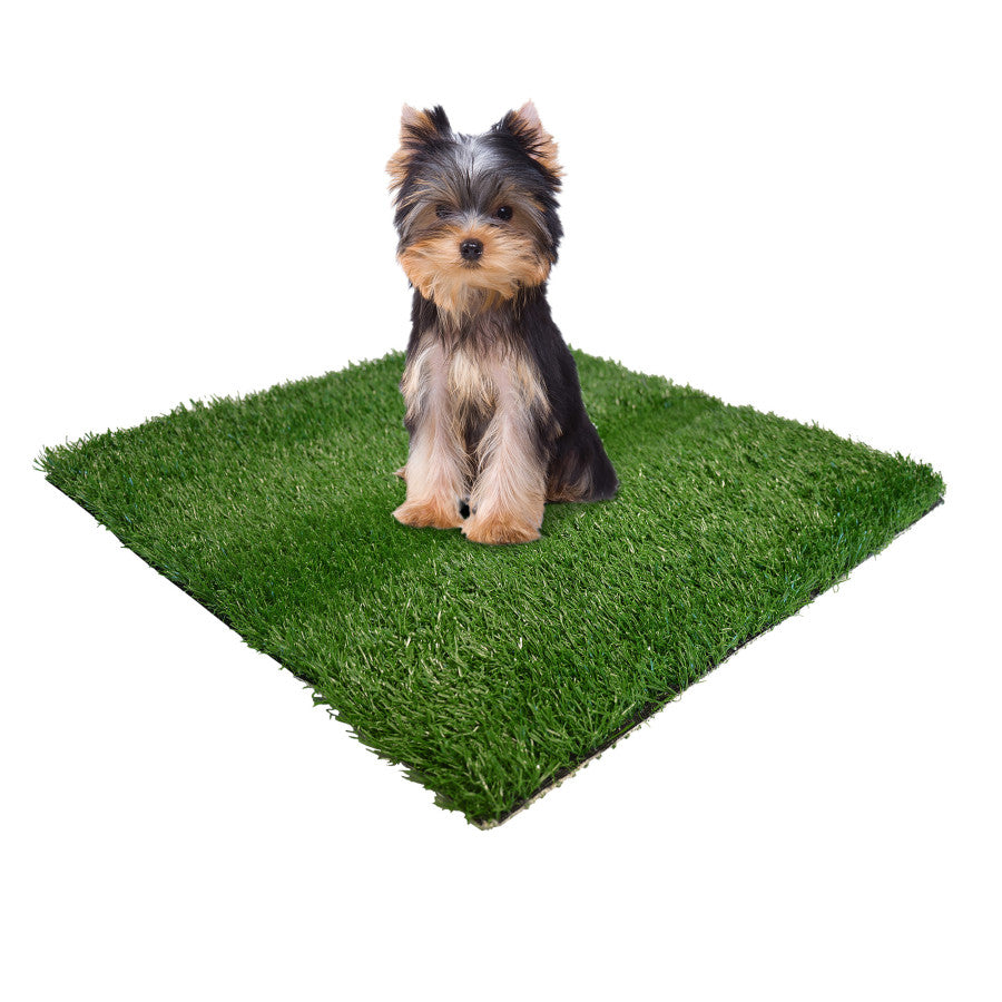Four Paws Wee-Wee Dog Grass Replacement Patch 1ea/Small (12 ct)