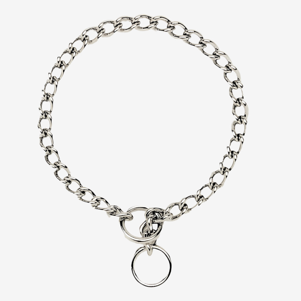 Titan Chain Training Dog Collar Medium Nickel, Chrome 1ea/2.5 Mm X 22 in