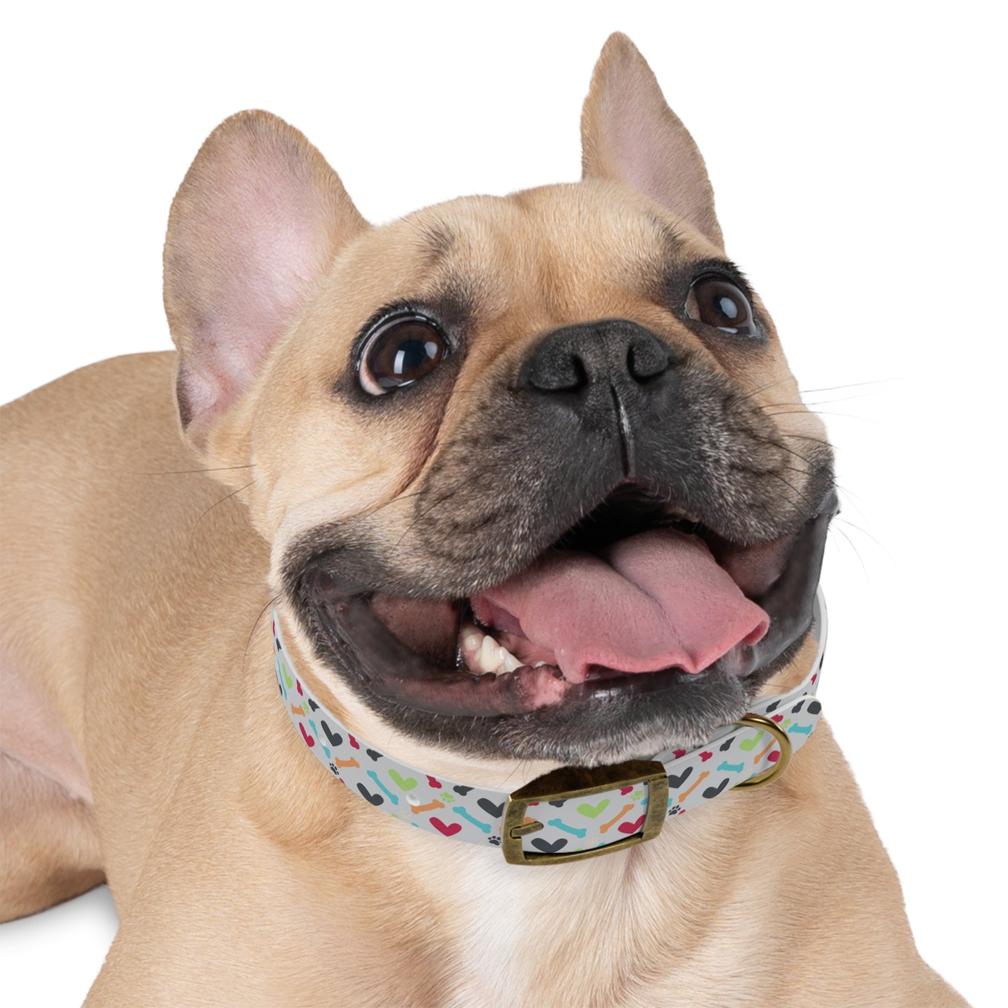 Did Someone Say Moose? Dog Collar