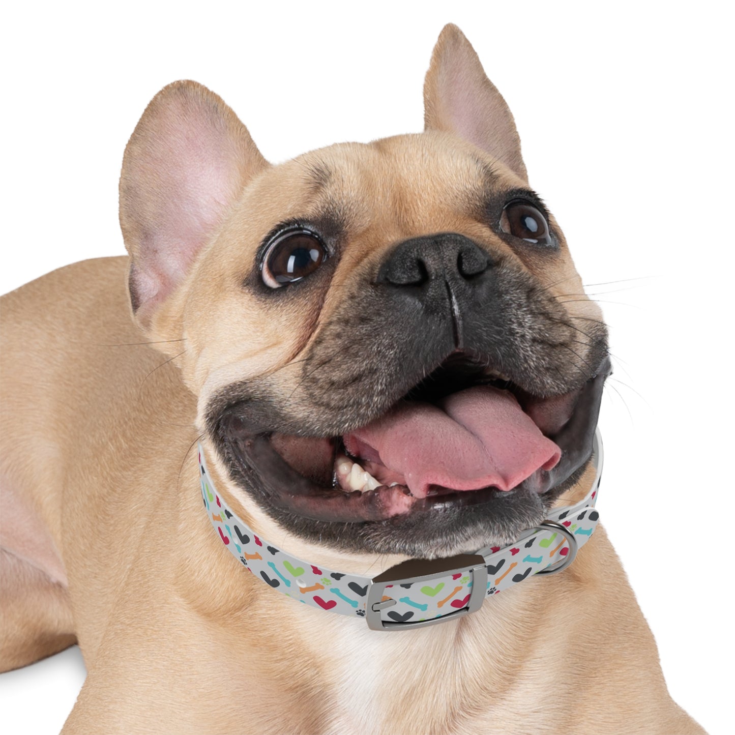 Did Someone Say Moose? Dog Collar