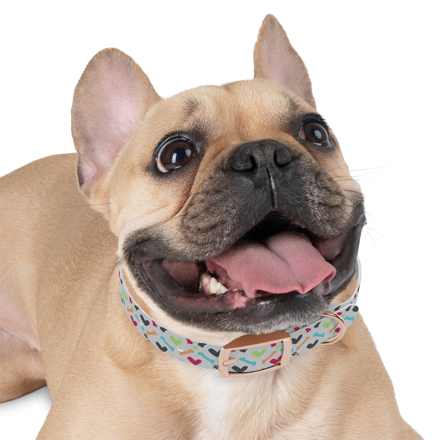 Did Someone Say Moose? Dog Collar