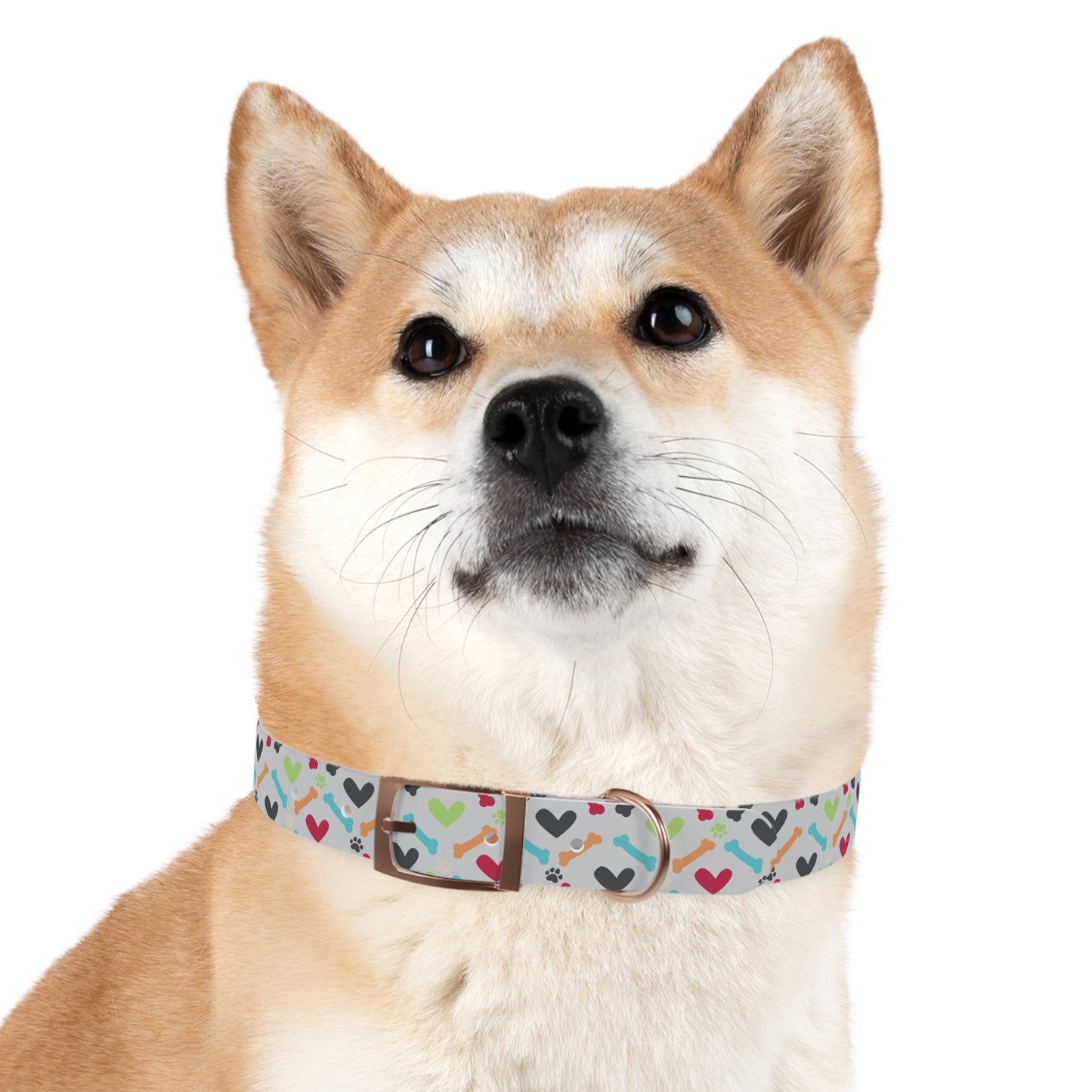 Did Someone Say Moose? Dog Collar