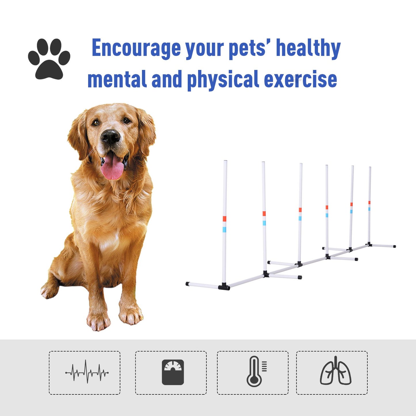 PawHut Sturdy Dog Weaves Poles Pet Speed and Agility Equipment Dogs Obstacle Outdoor w/ Storage Bag