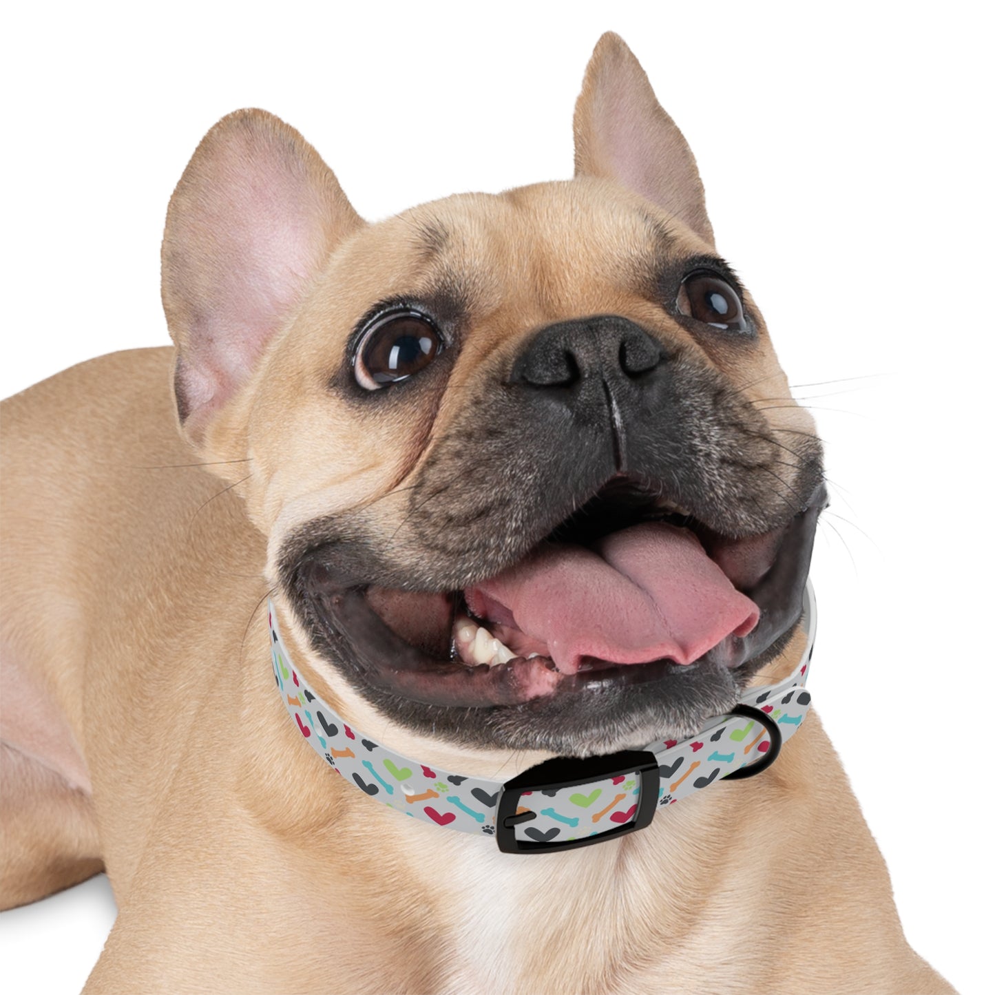 Did Someone Say Moose? Dog Collar