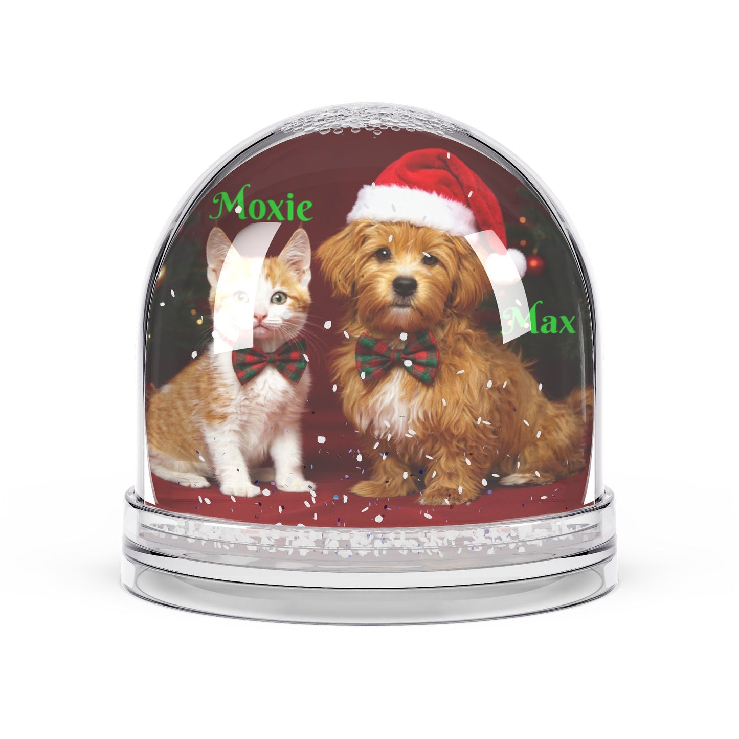 Paw-sonalized Snow Globe