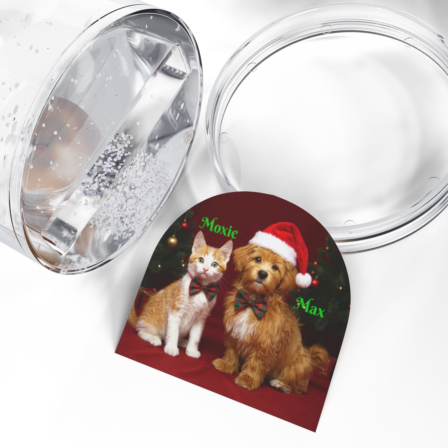 Paw-sonalized Snow Globe