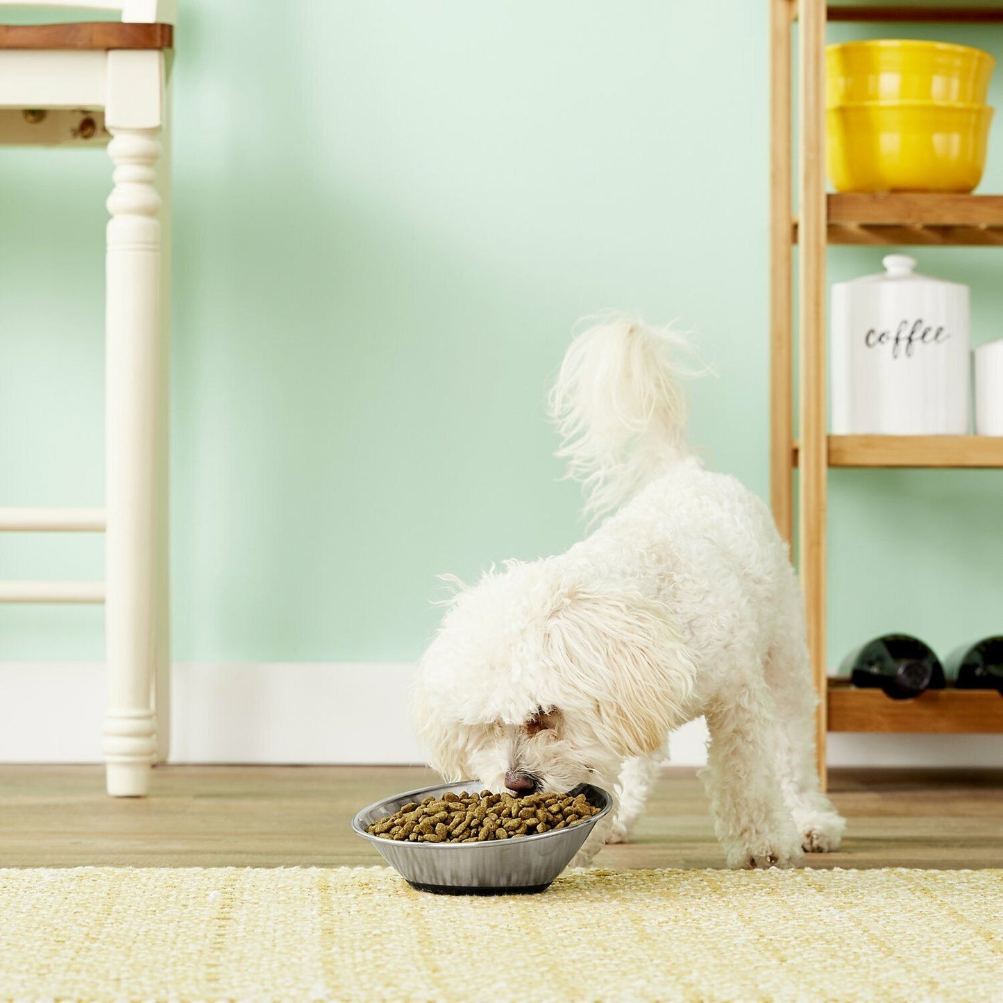 OurPets Tilt-a-Bowl Silver SM