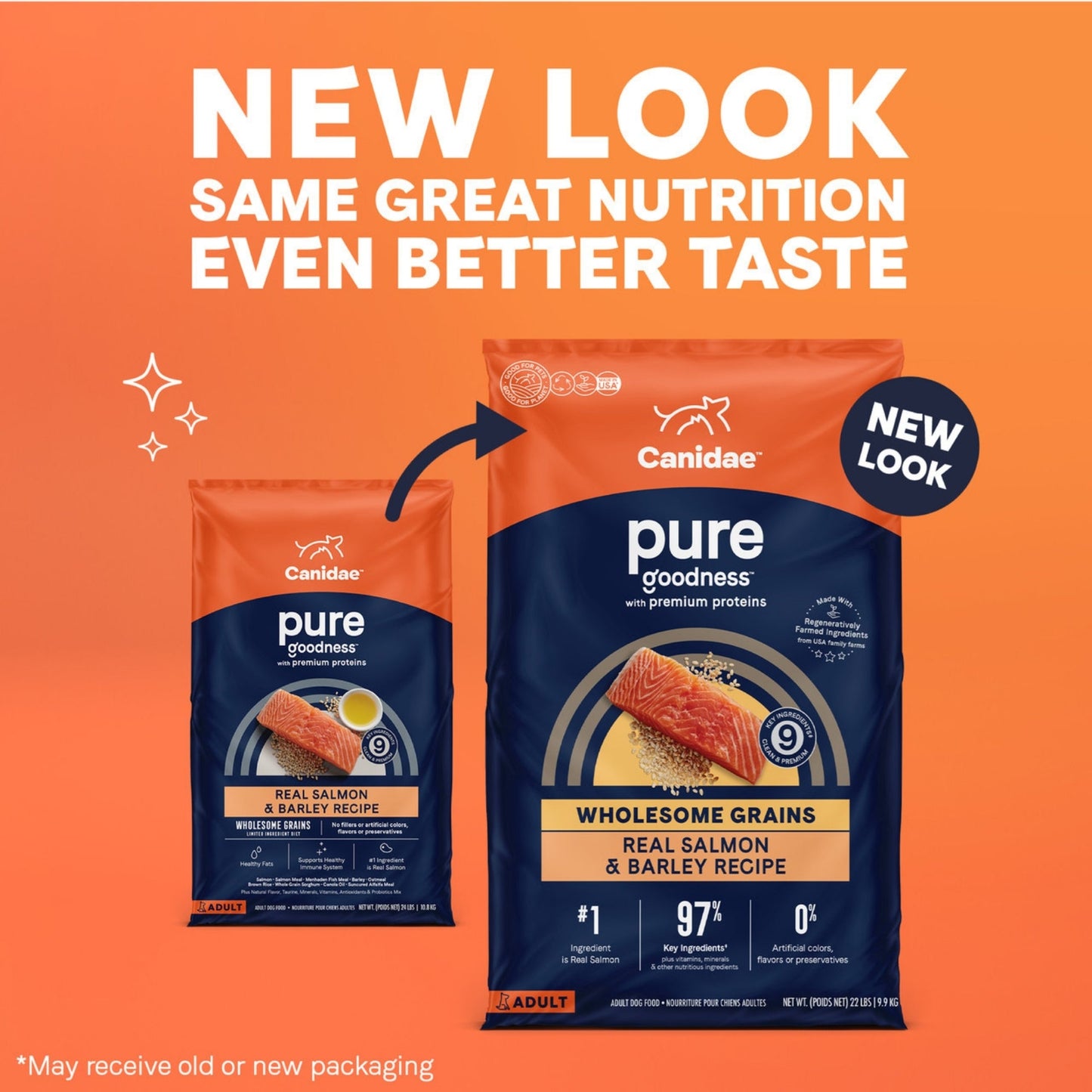 CANIDAE PURE Goodness w/Wholesome Grains Dry Dog Food Salmon & Barley 4lb