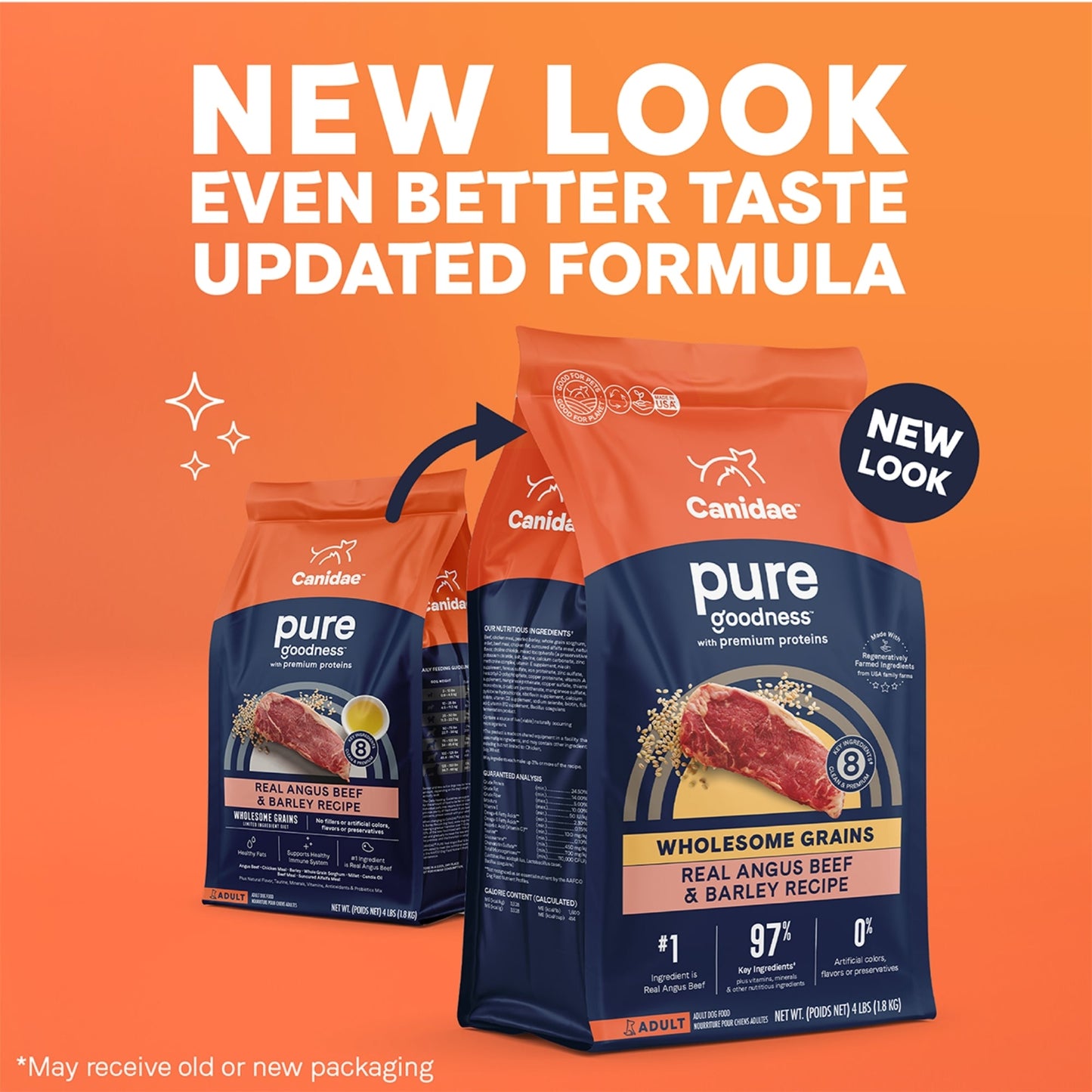 CANIDAE PURE Goodness w/Wholesome Grains Dry Dog Food Beef & Barley 22lb