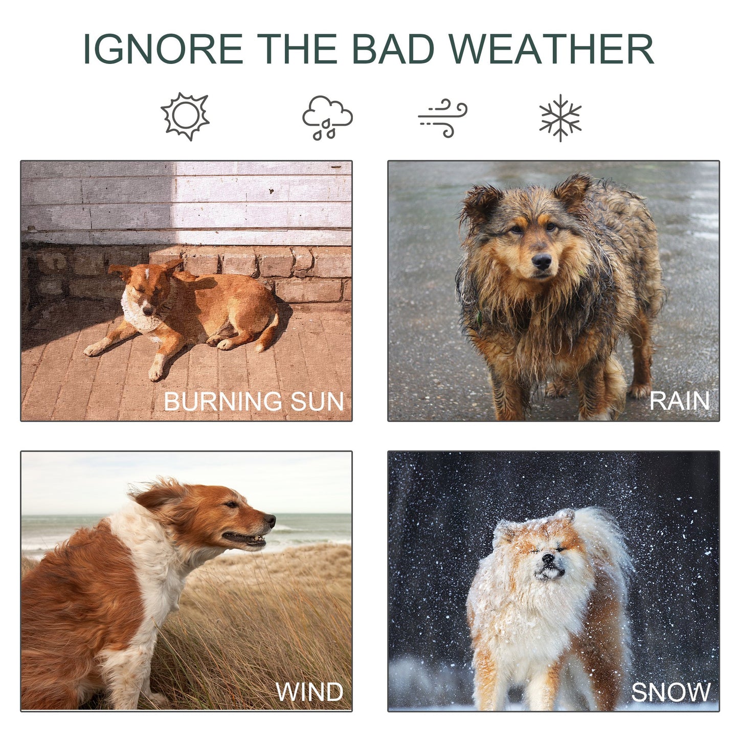 Pawhut 6' x 4' x 6' Large Outdoor Dog Kennel Galvanized Steel Fence with UV-Resistant Oxford Cloth Roof & Secure Lock