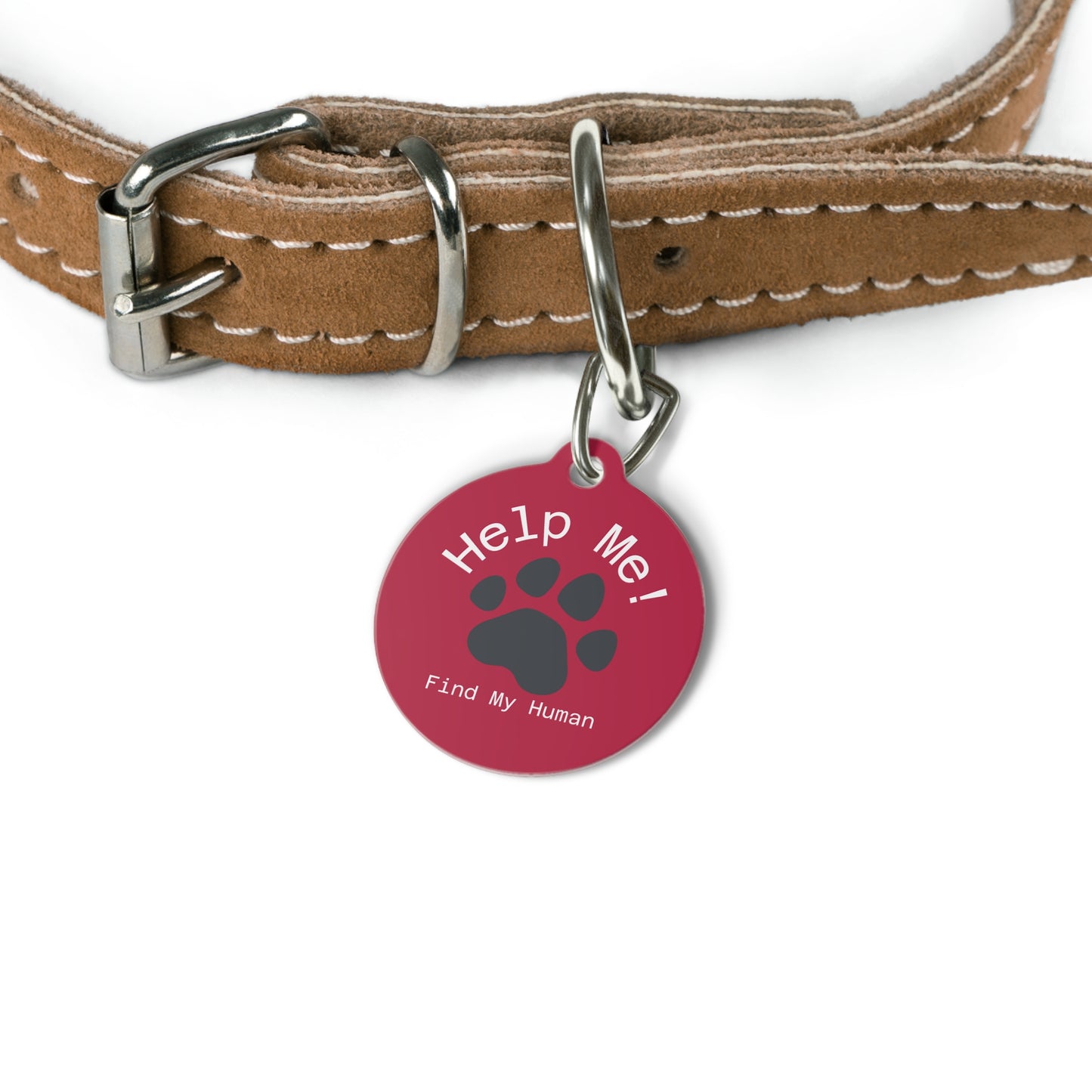 "Personalized Pet Tag - Help Me! Find My Human!