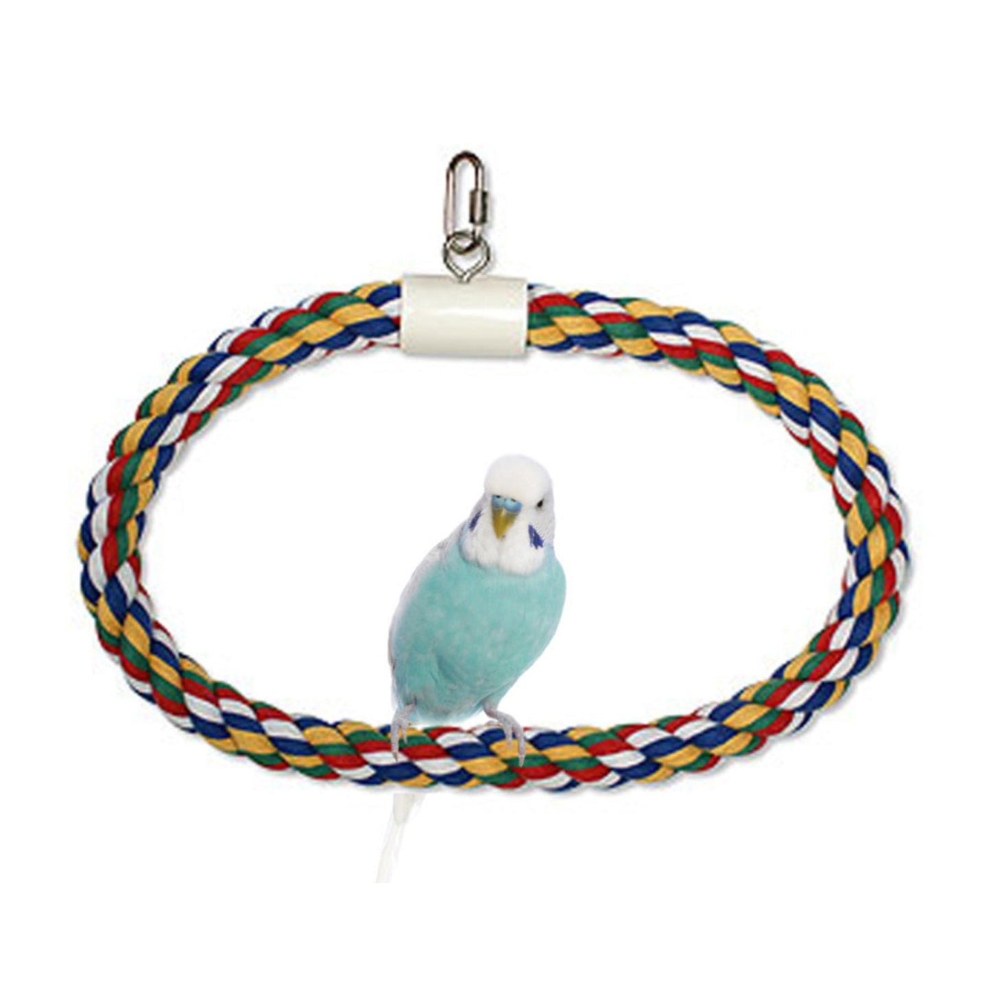 JW Pet Swing N Perch Ring Multi-Color 1ea/LG