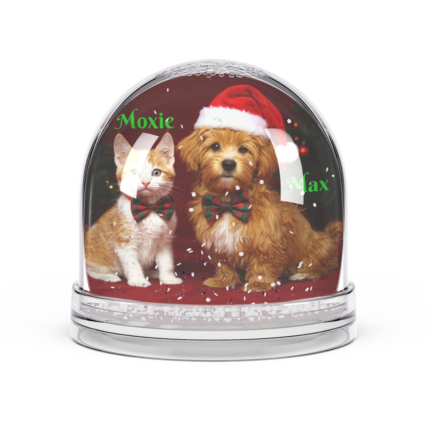Paw-sonalized Snow Globe