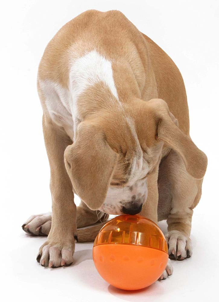 OurPets IQ Treat Dispensing Ball Dog Toy LG