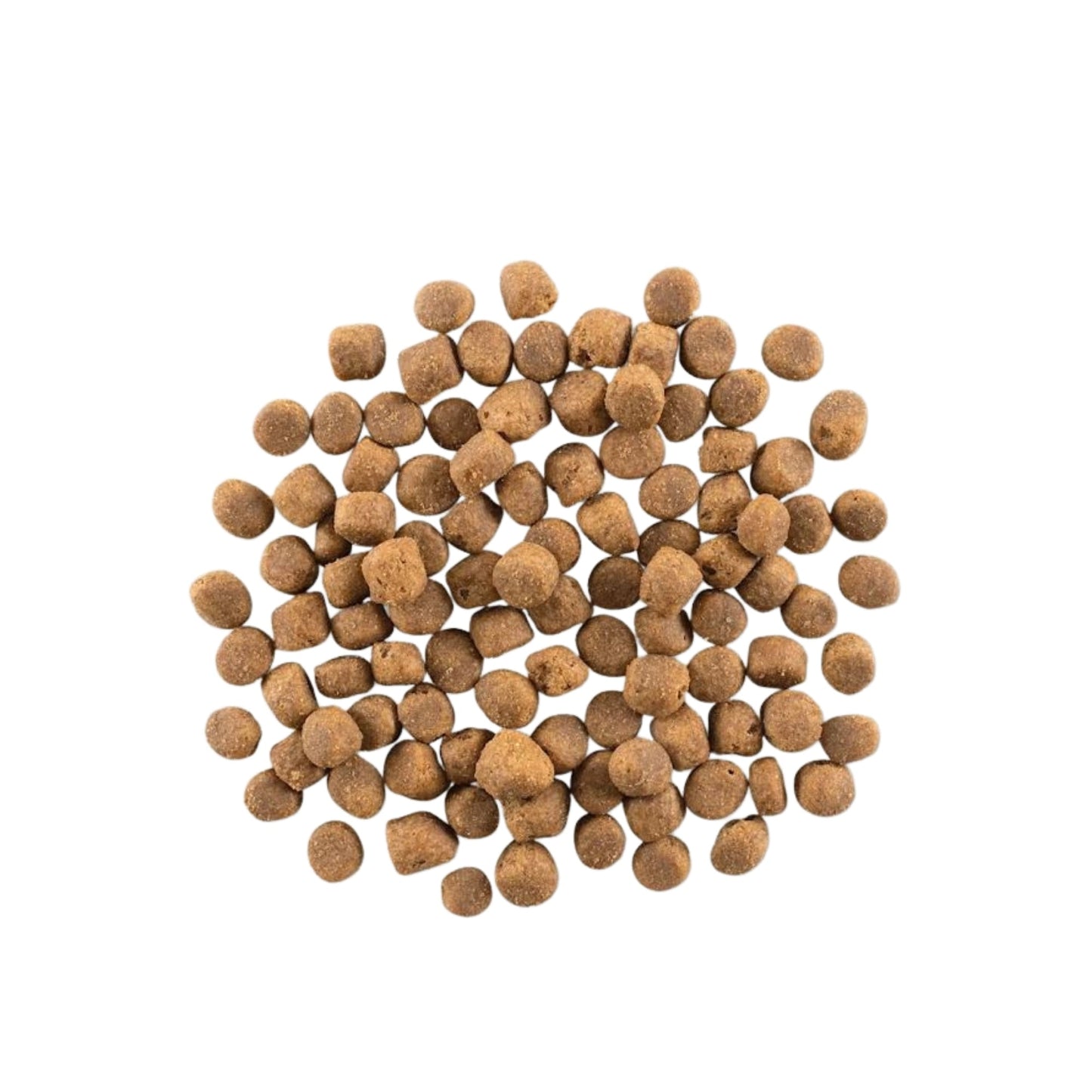 Now Fresh Dog Grain Free Adult Red Meat 22Lb
