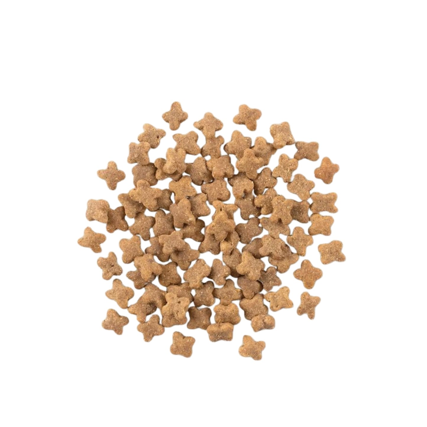 Now Fresh Dog Grain Free Adult Small Breed Turkey 6Lb