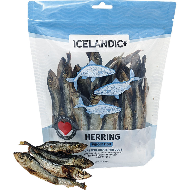 Icelandic Dog Herring Fish Whole Bulk 9oz.