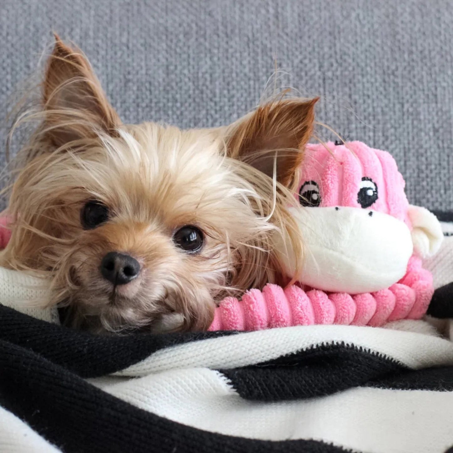 Zippypaws Plush Spencer The Crinkle Monkey Pink Small