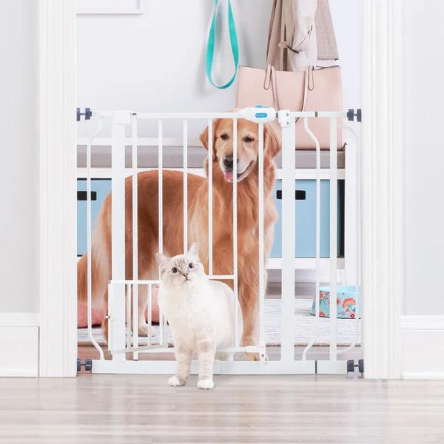 Carlson Expandable Extra Tall Gate w/ Slide Handle White 29-52 X 41in.