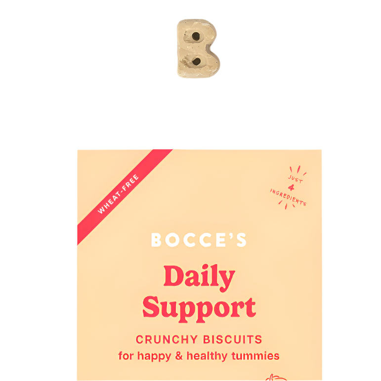 Bocce's Bakery Dog Belly Aid Pumpkin 12oz