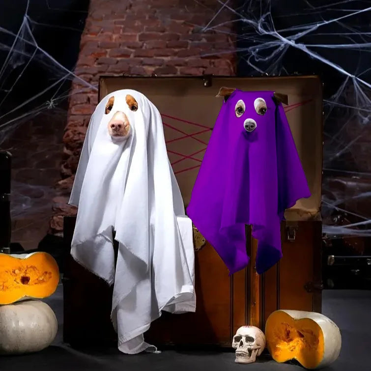 Caspaw the Friendly Ghost