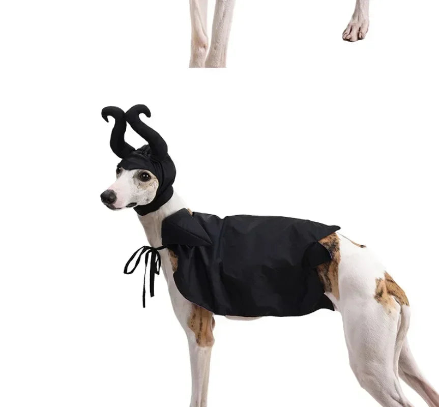 Slumber Spell Witch Costume